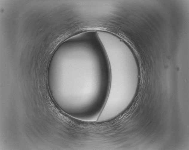 X0000054450385200507290957
