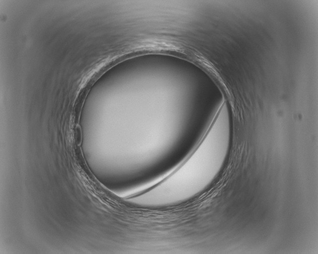X0000054450387200507290957