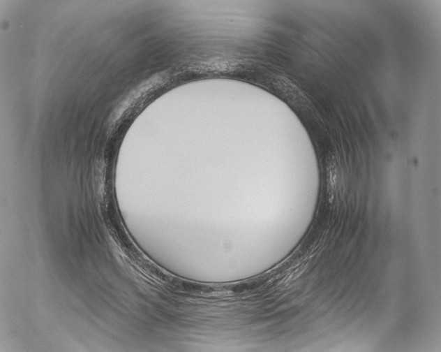 X0000054450396200507290956