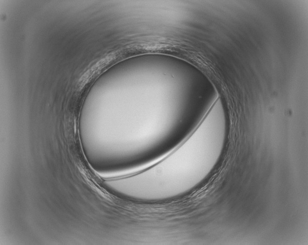 X0000054450397200507290956