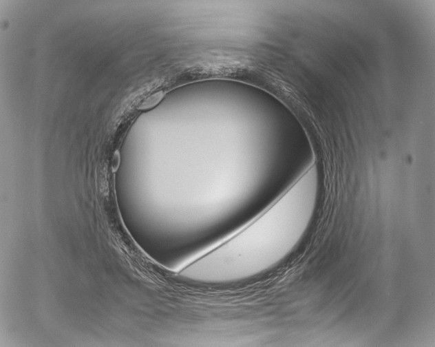 X0000054450403200507290956