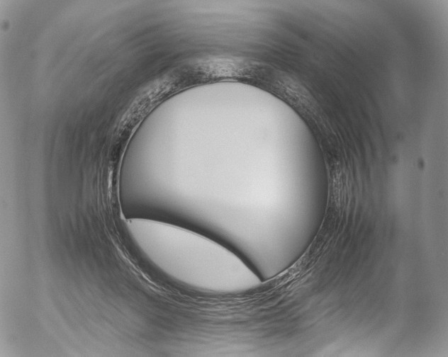 X0000054450406200507290956