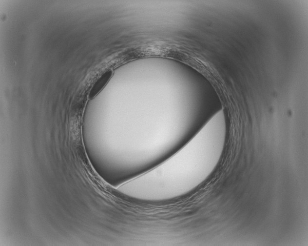 X0000054450409200507290956