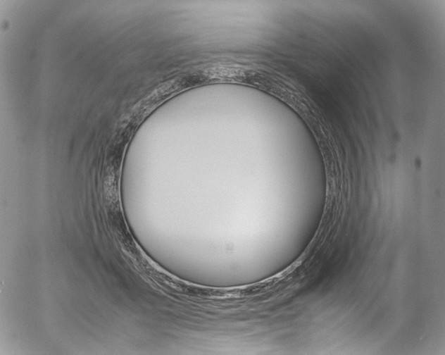 X0000054450411200507290956
