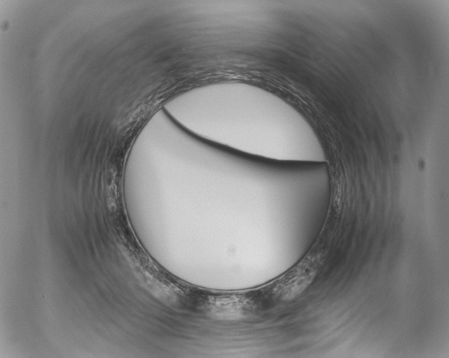 X0000054450414200507290956