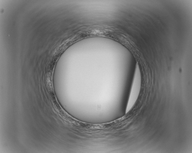 X0000054450415200507290956