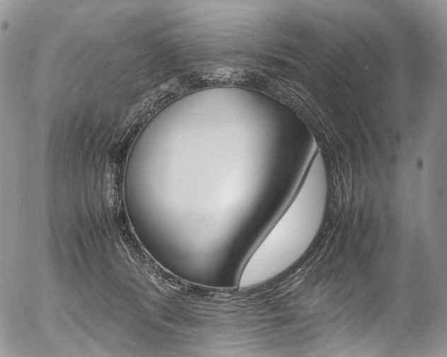 X0000054450416200507290956