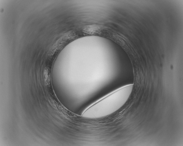 X0000054450420200507290956