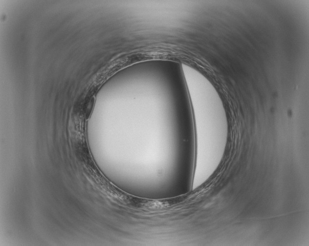 X0000054450421200507290956