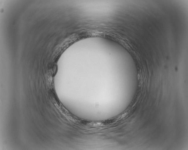 X0000054450427200507290956