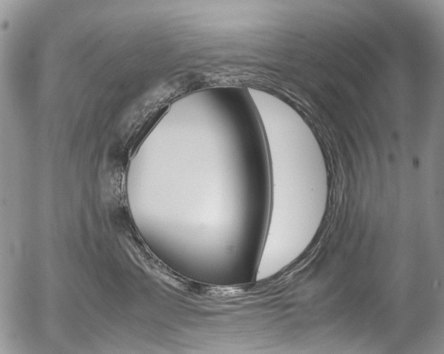X0000054450429200507290956