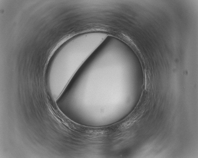 X0000054450435200507290955