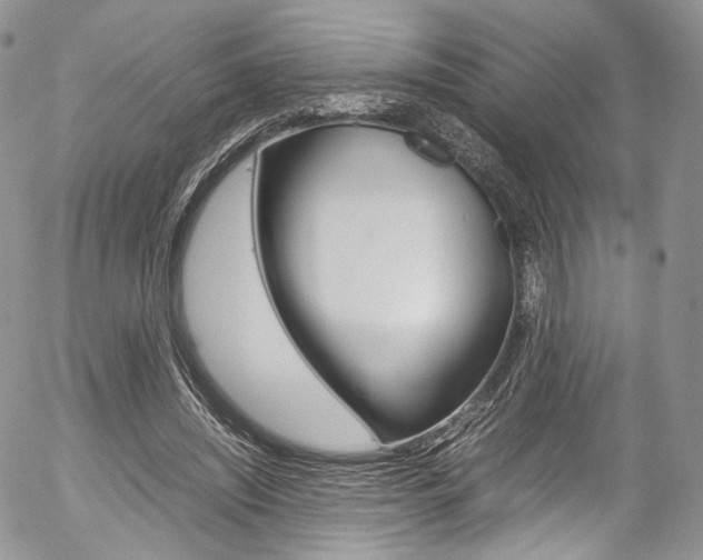 X0000054450444200507290955