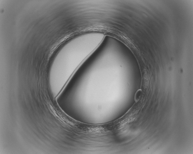 X0000054450446200507290955