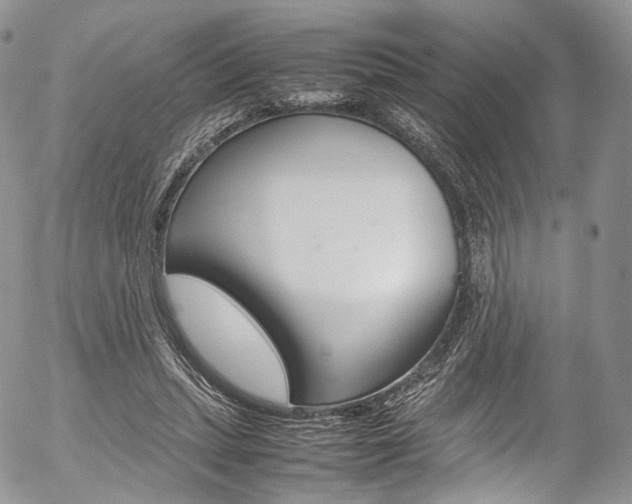 X0000054450447200507290955