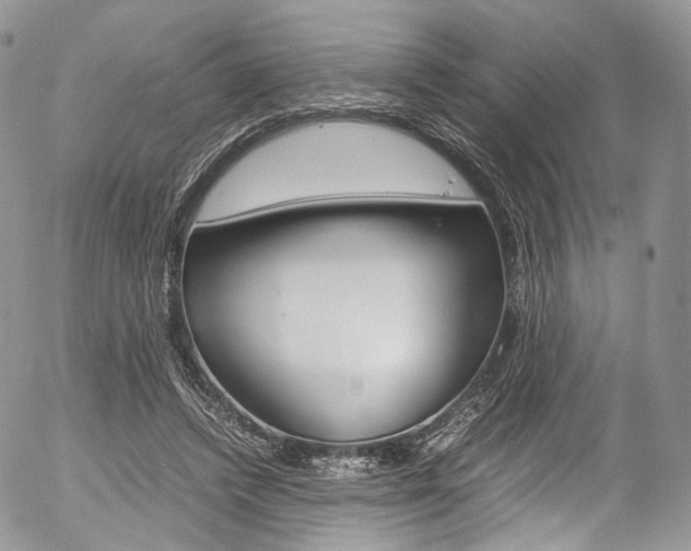 X0000054450448200507290955
