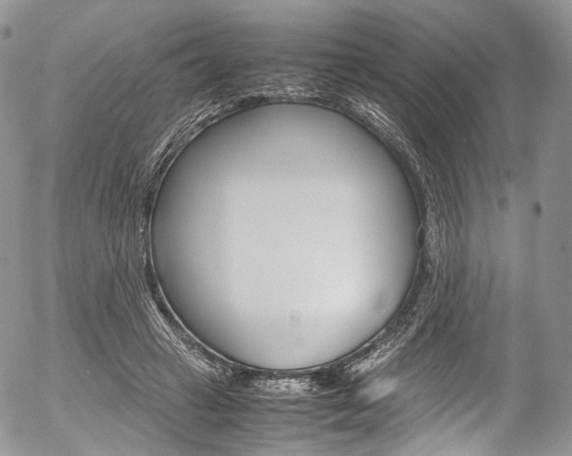 X0000054450449200507290955