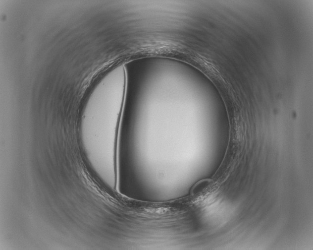 X0000054450450200507290955