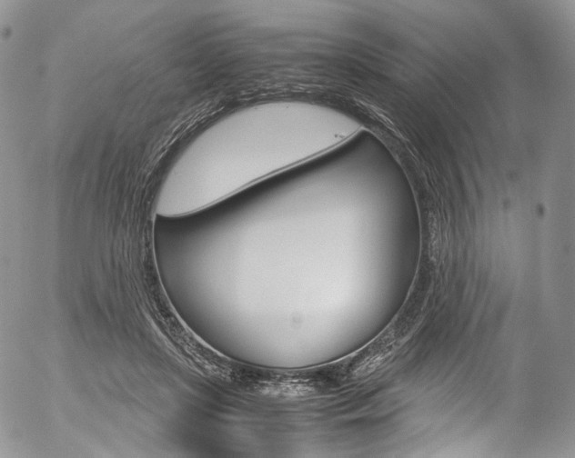 X0000054450451200507290955