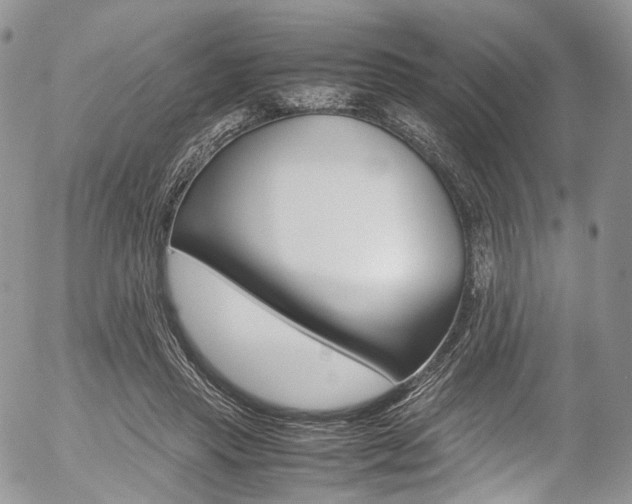 X0000054450453200507290955