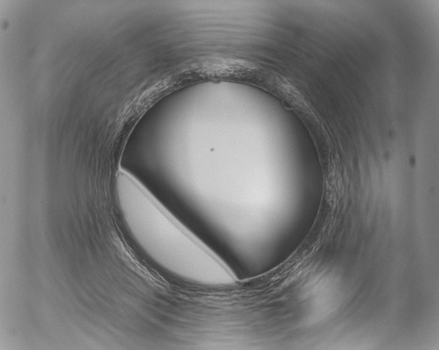 X0000054450454200507290955