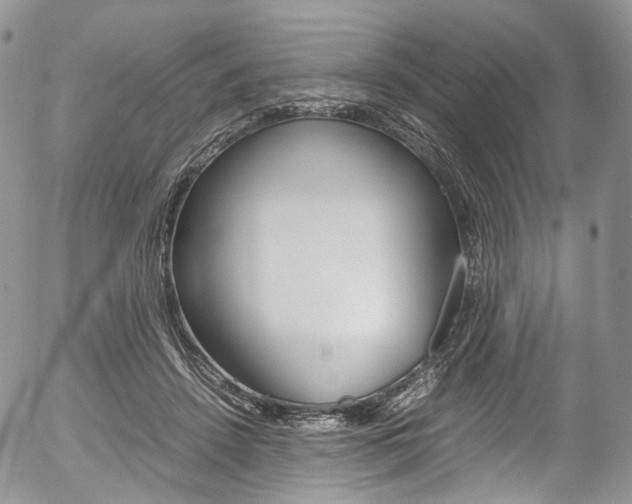 X0000054450456200507290955