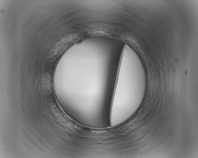 X0000054450457200507290955