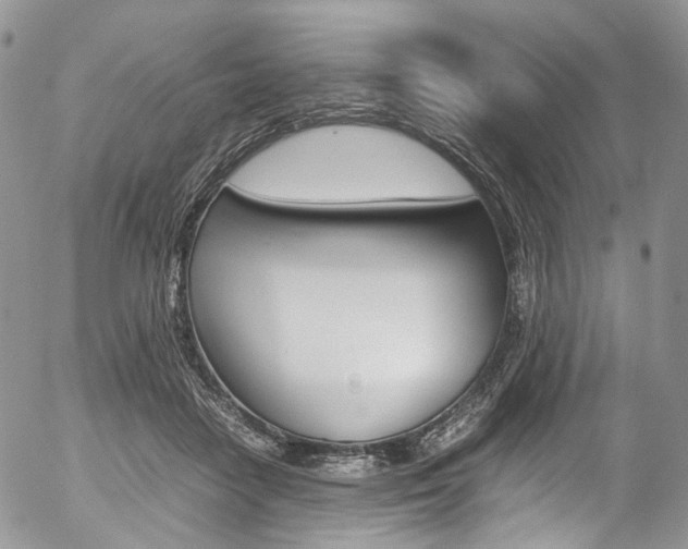 X0000054450458200507290956
