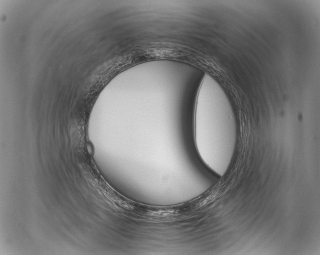 X0000054450461200507290956
