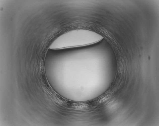 X0000054450463200507290956