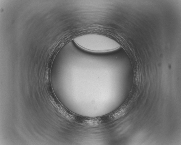 X0000054450466200507290956
