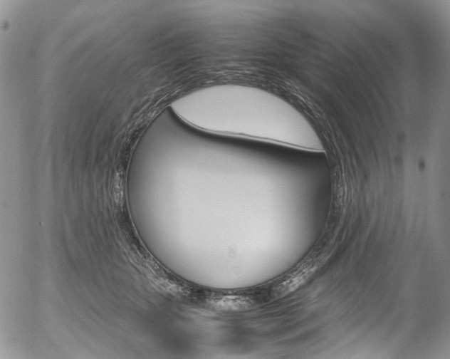 X0000054450467200507290956