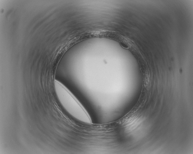 X0000054450470200507290956