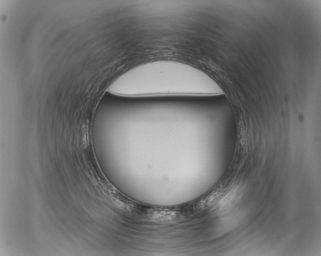 X0000054450471200507290956