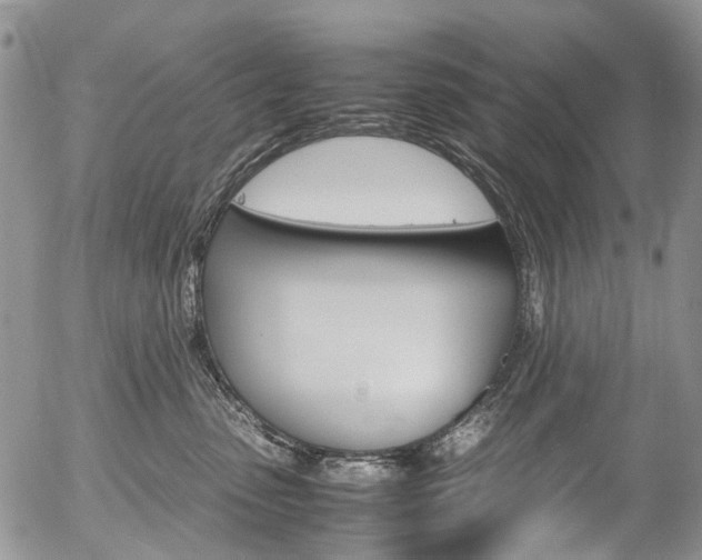 X0000054450475200507290956