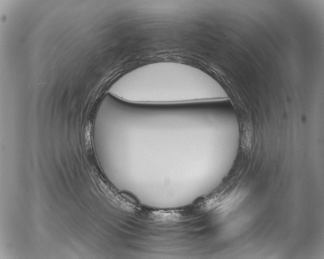 X0000054450477200507290956