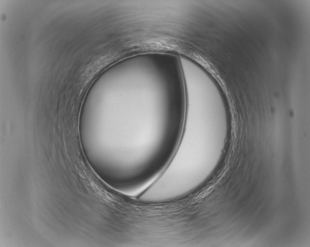 X0000054450481200507290955