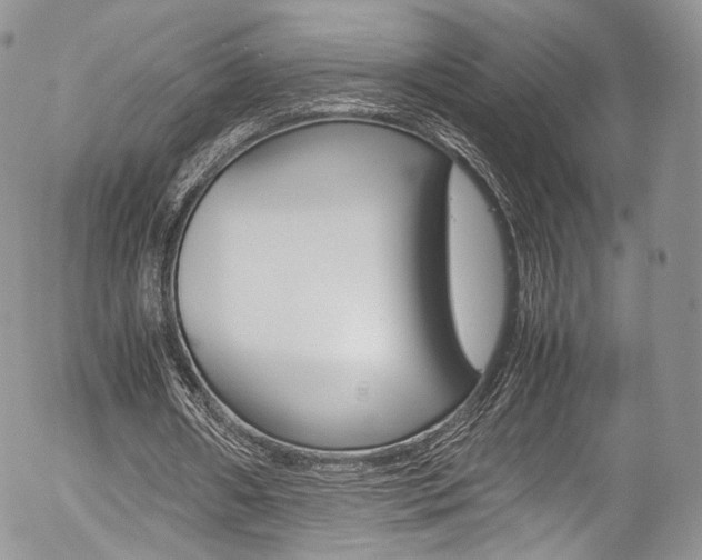 X0000054450482200507290955
