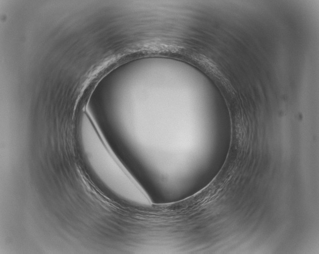 X0000054450488200507290955