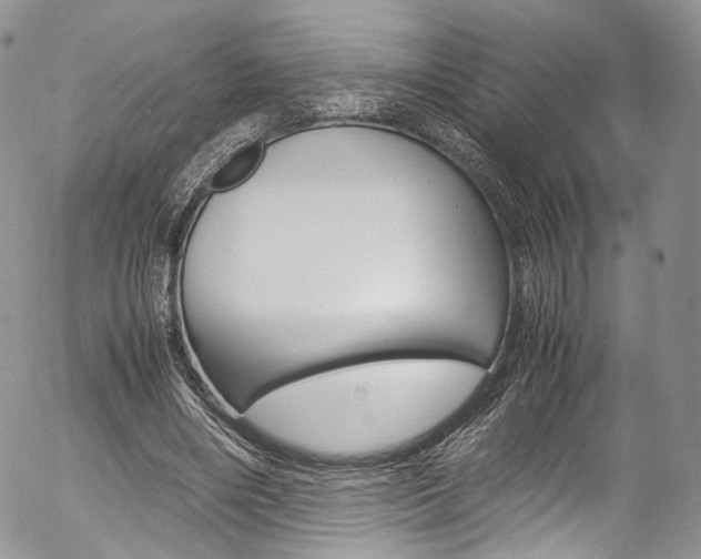X0000054450490200507290955