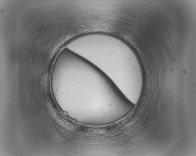 X0000054450491200507290955