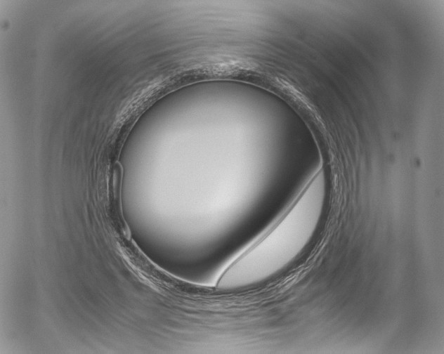X0000054450493200507290955