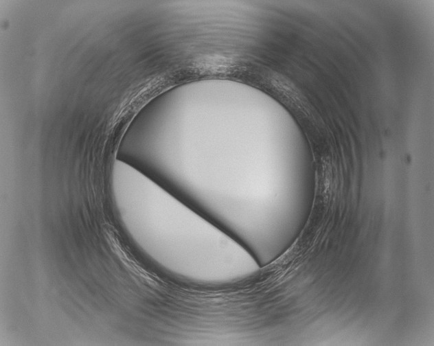 X0000054450494200507290955