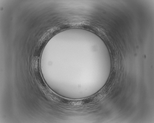 X0000054450495200507290955