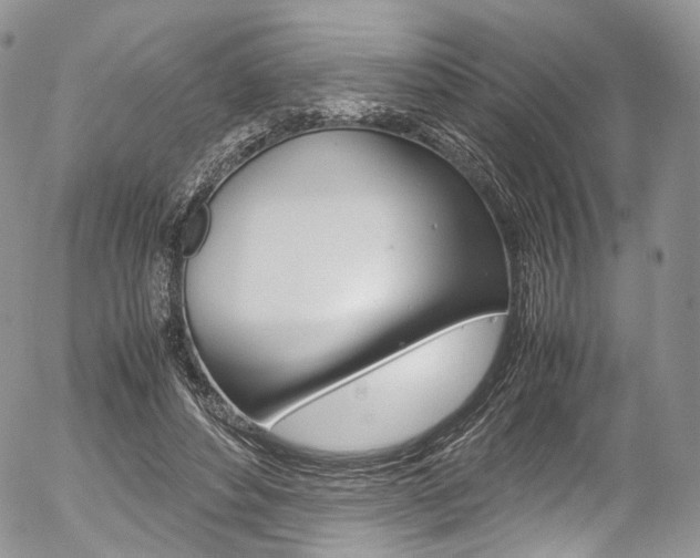 X0000054450496200507290955