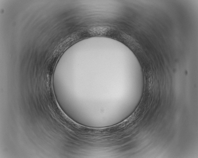 X0000054450498200507290955