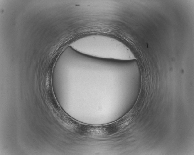 X0000054450499200507290955