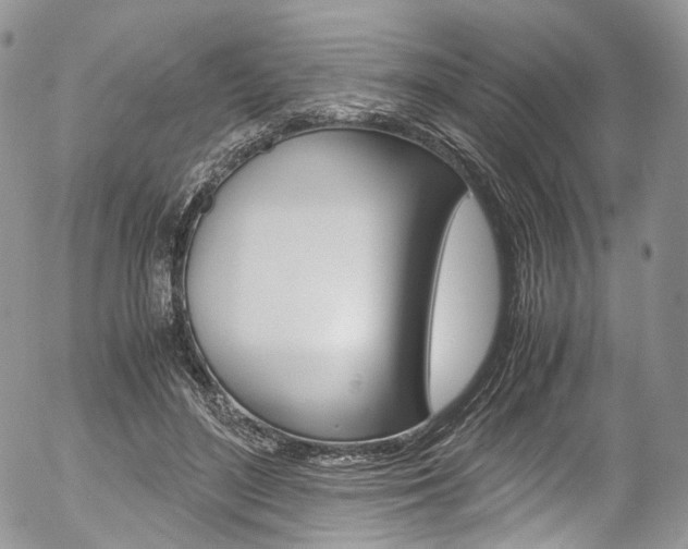 X0000054450500200507290955