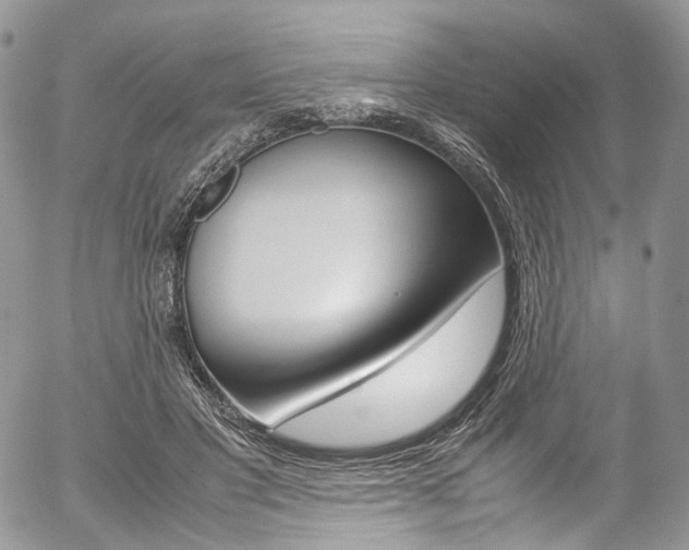 X0000054450501200507290955