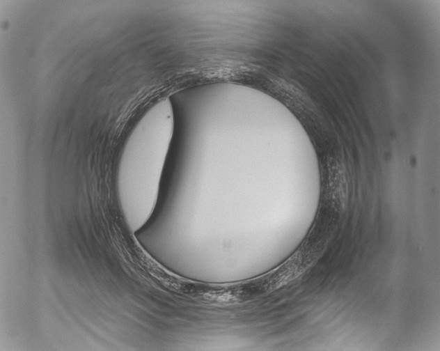 X0000054450502200507290955